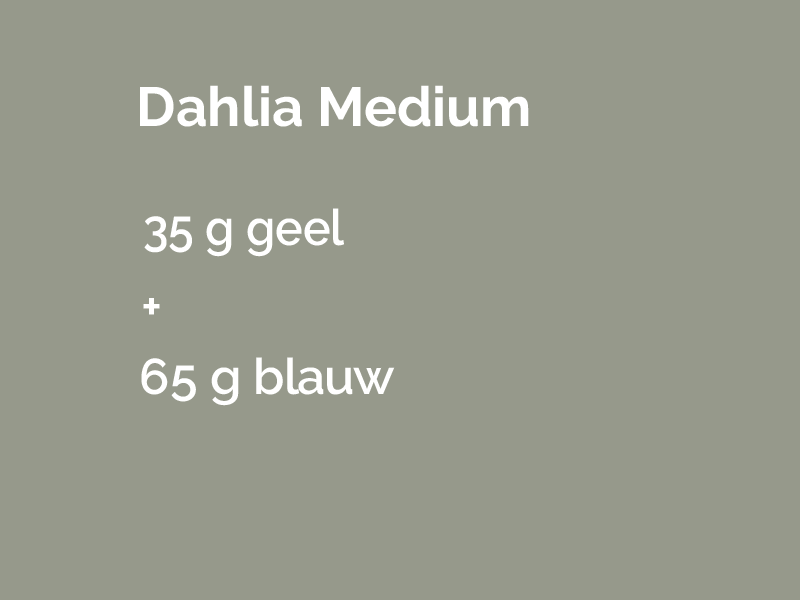 Dahlia medium.png